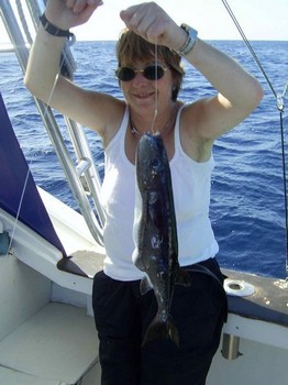 pez globo - azul Pesca Deportiva Cavalier & Blue Marlin Gran Canaria