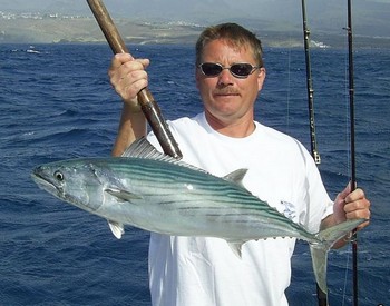 norra atlantiska bonito Cavalier & Blue Marlin Sport Fishing Gran Canaria
