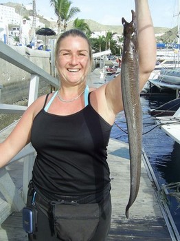 12/12 brun moray ål Cavalier & Blue Marlin Sport Fishing Gran Canaria