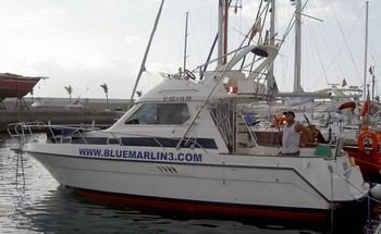 In den letzten Tagen war das Angeln noch in Ordnung. Auf dem Sand Cavalier & Blue Marlin Sportfischen Gran Canaria