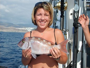 rot gebänderte Seebrasse Cavalier & Blue Marlin Sportfischen Gran Canaria