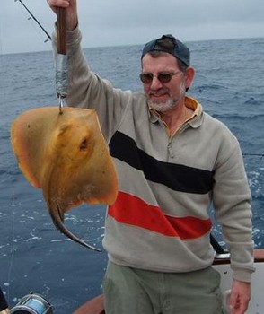 common stingray Cavalier & Blue Marlin Sport Fishing Gran Canaria