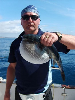 blue pufferfish Cavalier & Blue Marlin Sport Fishing Gran Canaria
