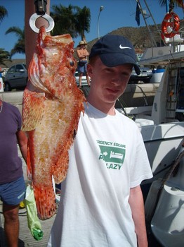 scorpionfish Cavalier & Blue Marlin Sport Fishing Gran Canaria