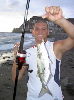 blue/kingfish Cavalier & Blue Marlin Sport Fishing Gran Canaria
