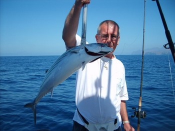 north atlantic  bonito Cavalier & Blue Marlin Sport Fishing Gran Canaria