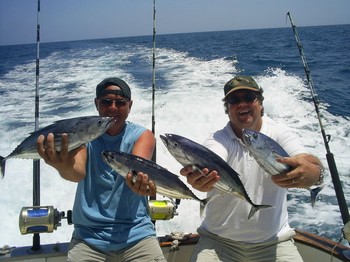 22/04 skipjack tuna Cavalier & Blue Marlin Sport Fishing Gran Canaria