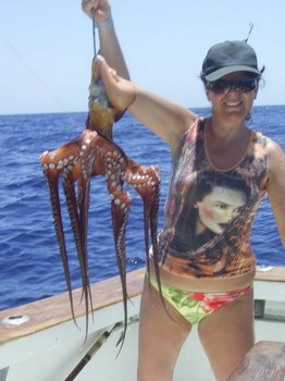 octopussy Cavalier & Blue Marlin Sport Fishing Gran Canaria
