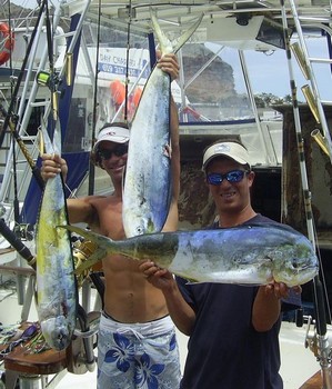 11/06 dorado Cavalier & Blue Marlin Sport Fishing Gran Canaria