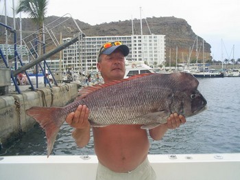 red snapper (male) Cavalier & Blue Marlin Sport Fishing Gran Canaria