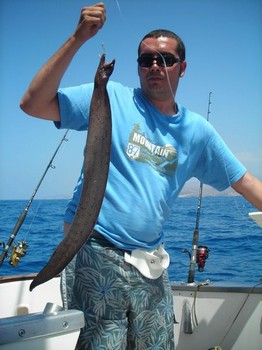 braune Muräne Cavalier & Blue Marlin Sportfischen Gran Canaria