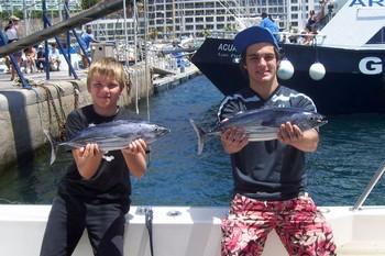 Skipjack Thunfisch Cavalier & Blue Marlin Sportfischen Gran Canaria