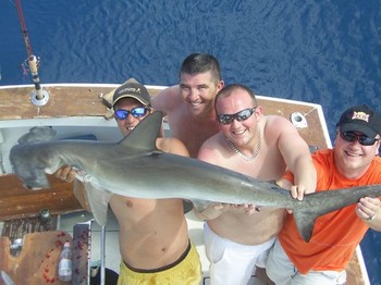 01/10 hammerhead shark - Hammerhead shark 37 kilo caught on 20 lb line tackle Cavalier & Blue Marlin Sport Fishing Gran Canaria