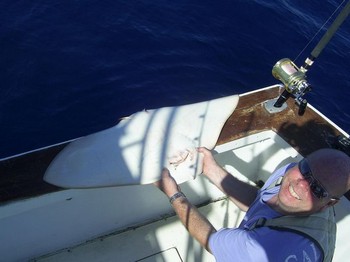 butterfly ray Cavalier & Blue Marlin Sport Fishing Gran Canaria