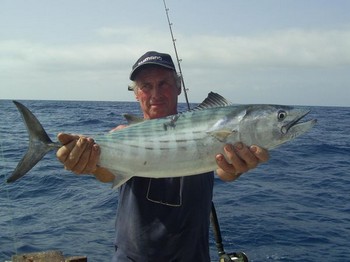 07/11 north atlantic bonito Cavalier & Blue Marlin Sport Fishing Gran Canaria