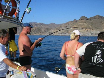 action Cavalier & Blue Marlin Sport Fishing Gran Canaria