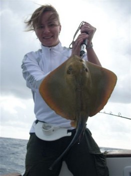 14/12 common stingray Cavalier & Blue Marlin Sport Fishing Gran Canaria