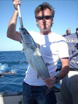 29/12 north atlantic bonito Cavalier & Blue Marlin Sport Fishing Gran Canaria