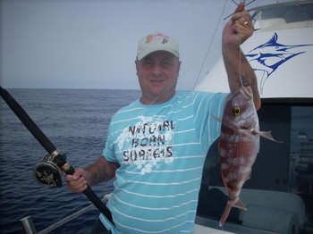 rot gebänderte Seebrasse Cavalier & Blue Marlin Sport Fishing Gran Canaria