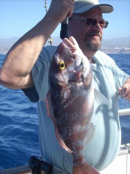 roter Schnappfisch Cavalier & Blue Marlin Sportfischen Gran Canaria