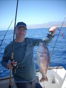 pargo Pesca Deportiva Cavalier & Blue Marlin Gran Canaria