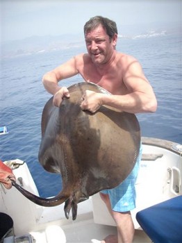 13/03 roughtail stingray Cavalier & Blue Marlin Sport Fishing Gran Canaria