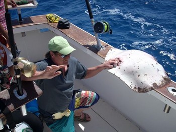 gewöhnlicher Stachelrochen Cavalier & Blue Marlin Sportfischen Gran Canaria