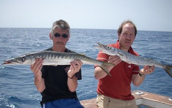 02/04 barracuda's Cavalier & Blue Marlin Sport Fishing Gran Canaria