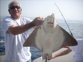 eagler ray Cavalier & Blue Marlin Sport Fishing Gran Canaria