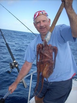 bläckfisk Cavalier & Blue Marlin Sport Fishing Gran Canaria