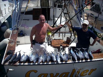 14/04 Skipjack Thunfisch Cavalier & Blue Marlin Sportfischen Gran Canaria