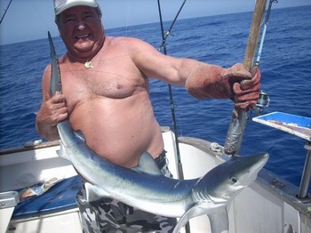blå haj Cavalier & Blue Marlin Sport Fishing Gran Canaria