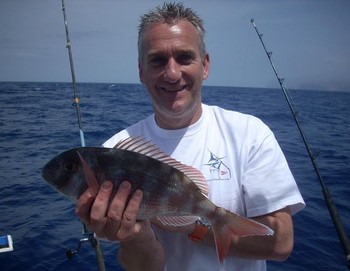 01/05 havsstråle med rödband Cavalier & Blue Marlin Sport Fishing Gran Canaria