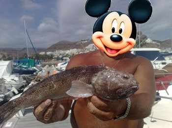 Mickey Pieterman Cavalier & Blue Marlin Sport Fishing Gran Canaria