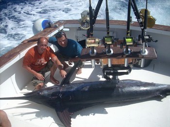 blå marlin Cavalier & Blue Marlin Sport Fishing Gran Canaria