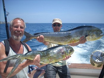 21/05 dorado Cavalier & Blue Marlin Sport Fishing Gran Canaria