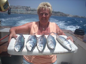 02/07 Atlantic Bonito Cavalier & Blue Marlin Sport Fishing Gran Canaria