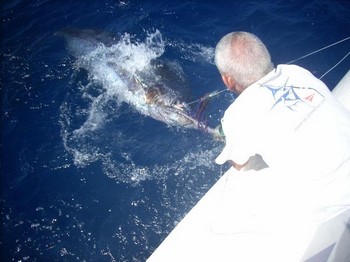 28/07 blå marlin Cavalier & Blue Marlin Sport Fishing Gran Canaria