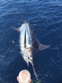 29/07 blue marlin Cavalier & Blue Marlin Sport Fishing Gran Canaria