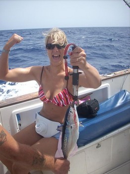 bullet tuna Cavalier & Blue Marlin Sport Fishing Gran Canaria