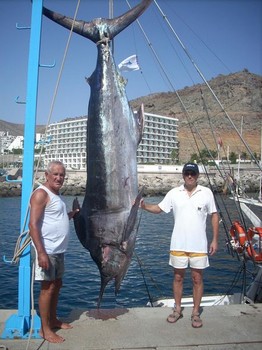 15/08 blue marlin Cavalier & Blue Marlin Sport Fishing Gran Canaria