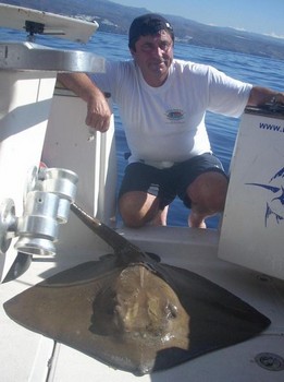 20/09 gemeiner Stachelrochen Cavalier & Blue Marlin Sportfischen Gran Canaria