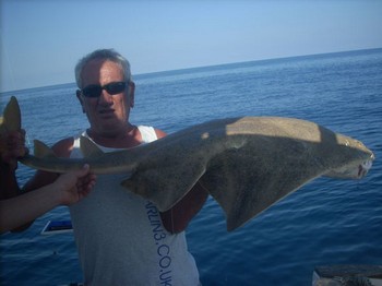 23/09 tiburón ángel Pesca Deportiva Cavalier & Blue Marlin Gran Canaria