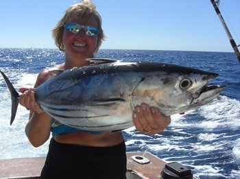 08/10 Skipjack Tuna Cavalier & Blue Marlin Sport Fishing Gran Canaria