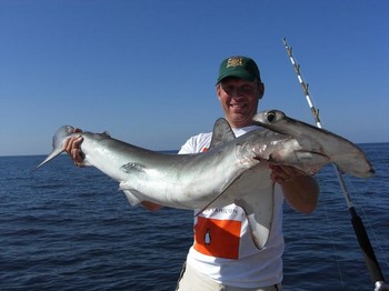 22/10 hammerhead shark Cavalier & Blue Marlin Sport Fishing Gran Canaria