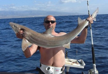 tope shark Cavalier & Blue Marlin Sport Fishing Gran Canaria