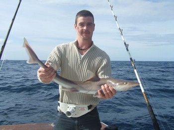 02/01 tope Cavalier & Blue Marlin Sport Fishing Gran Canaria