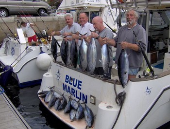 good catch Cavalier & Blue Marlin Sport Fishing Gran Canaria