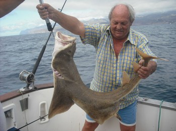 19/01 angel shark Cavalier & Blue Marlin Sport Fishing Gran Canaria