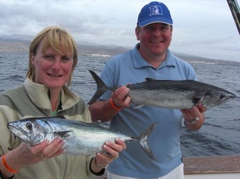 atlantic bonito Cavalier & Blue Marlin Sport Fishing Gran Canaria